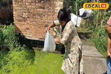 ডেঙ্গির প্রকোপ ঠেকাতে ভরসা গাপ্পি আর লার্ভিসাইড অয়েল! শীতের শুরুতেই শহরতলীতে উঠে পড়ে নামল পৌরসভা