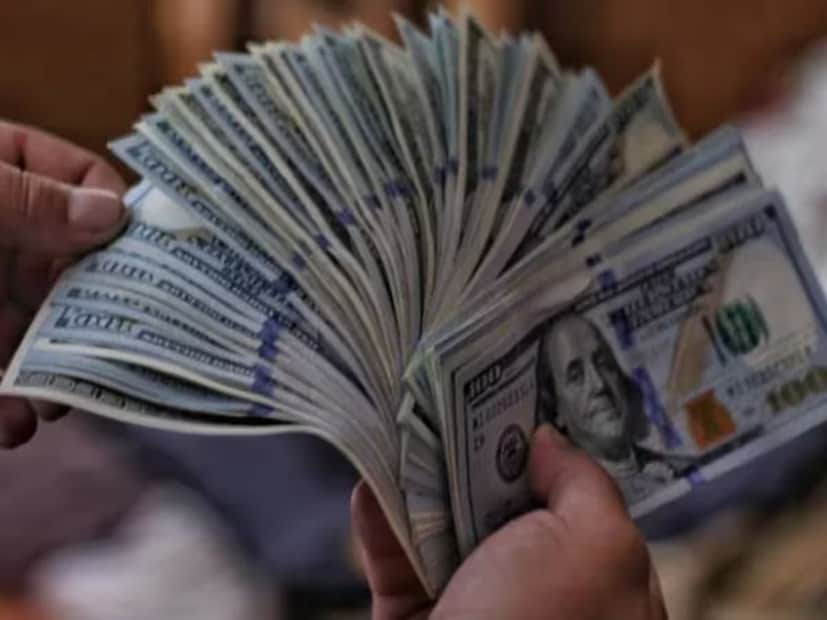 ১৭৯২ সালে, মার্কিন যুক্তরাষ্ট্র আনুষ্ঠানিকভাবে ডলারকে তার জাতীয় মুদ্রা ঘোষণা করে। এই পরিবর্তন কেবল লেনদেন সহজতর করার মধ্যেই সীমাবদ্ধ ছিল না, বরং এটি বিশ্বব্যাপী বাণিজ্যে মার্কিন যুক্তরাষ্ট্রকে একটি শক্তিশালী জায়গায় দিয়েছে ধীরে ধীরে।