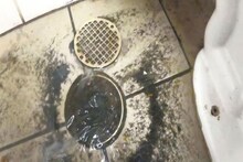 গবগবিয়ে ২ মিনিটে বেরিয়ে যাবে বাথরুমে আটকে থাকা নোংরা জল....! প্লাম্বার 'কল' দিতে হবে না, 'ফলো' করুন এই কয়েকটা 'স্টেপ'!