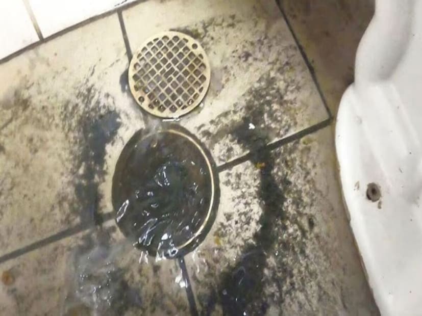 আমরা সকলেই বাড়ির বাথরুমে প্রায়ই যে সমস্যার মুখোমুখি হই, তা হল ড্রেনের ঝাঁঝরিতে ময়লা আটকে ড্রেন জ্যাম হয়ে যাওয়া। ময়লা এমন ভাবে আটকে যায় যে জল যেতে পারে না। আর তাতেই গোটা বাথরুমে নোংরা জলে বোঝাই হয়ে যায়।