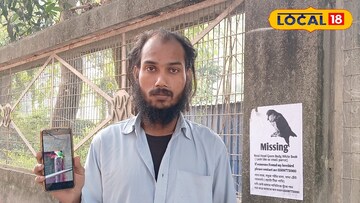 পোস্টার