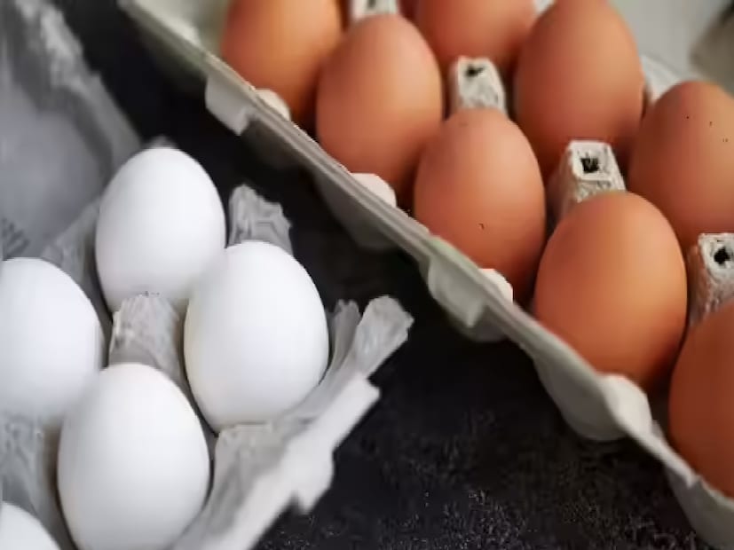 প্রোটিন হল মানবদেহের গঠন উপাদান। এটি টিস্যু তৈরি, মেরামত এবং রক্ষণাবেক্ষণে গুরুত্বপূর্ণ ভূমিকা পালন করে। এটি পেশি, ত্বক, চুল এবং এমনকি এনজাইম এবং হরমোনের ভিত্তি তৈরি করে যা শরীরের গুরুত্বপূর্ণ কার্যাবলী নিয়ন্ত্রণ করে। প্রোটিন সমৃদ্ধ খাদ্য পেশির বৃদ্ধিতে সহায়তা করে, বিপাক বৃদ্ধি করে এবং দীর্ঘ সময় ধরে পেট ভরাতে সাহায্য করে।