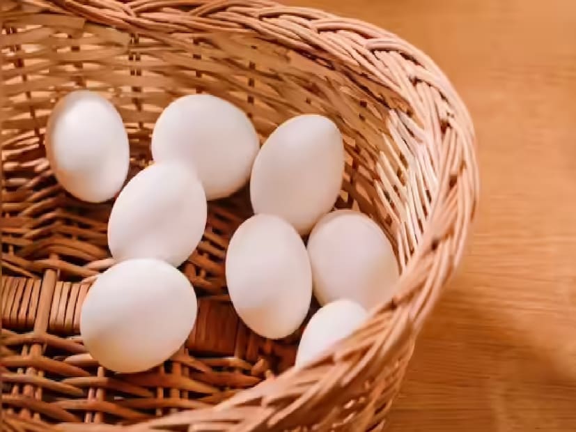 ডিম পুষ্টির এক শক্তিশালী উৎস। বলা হয় যে এতে উচ্চমানের প্রোটিন রয়েছে, যা পেশি তৈরি এবং মেরামত করতে সাহায্য করে, সঙ্গে দীর্ঘক্ষণ পেট ভরে রাখে, অপ্রয়োজনীয় খাবার খাওয়া কমায়। বি১২, ডি এবং কোলিনের মতো প্রয়োজনীয় ভিটামিন সমৃদ্ধ ডিম মস্তিষ্কের কার্যকারিতা সমর্থন করে, বিপাক বৃদ্ধি করে এবং সামগ্রিক শক্তির মাত্রা উন্নত করে। লুটেইন এবং জেক্সানথিনের মতো এর স্বাস্থ্যকর চর্বি এবং অ্যান্টিঅক্সিডেন্ট চোখের স্বাস্থ্যের উন্নতি করে এবং প্রদাহ থেকে রক্ষা করে।