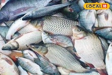 Pisciculture: ১ একরে ৫ কুইন্টাল মাছ, সঠিক চাষে হতে পারে অঢেল লাভ! রাজ্যকে পথ দেখাচ্ছে পূর্ব মেদিনীপুর