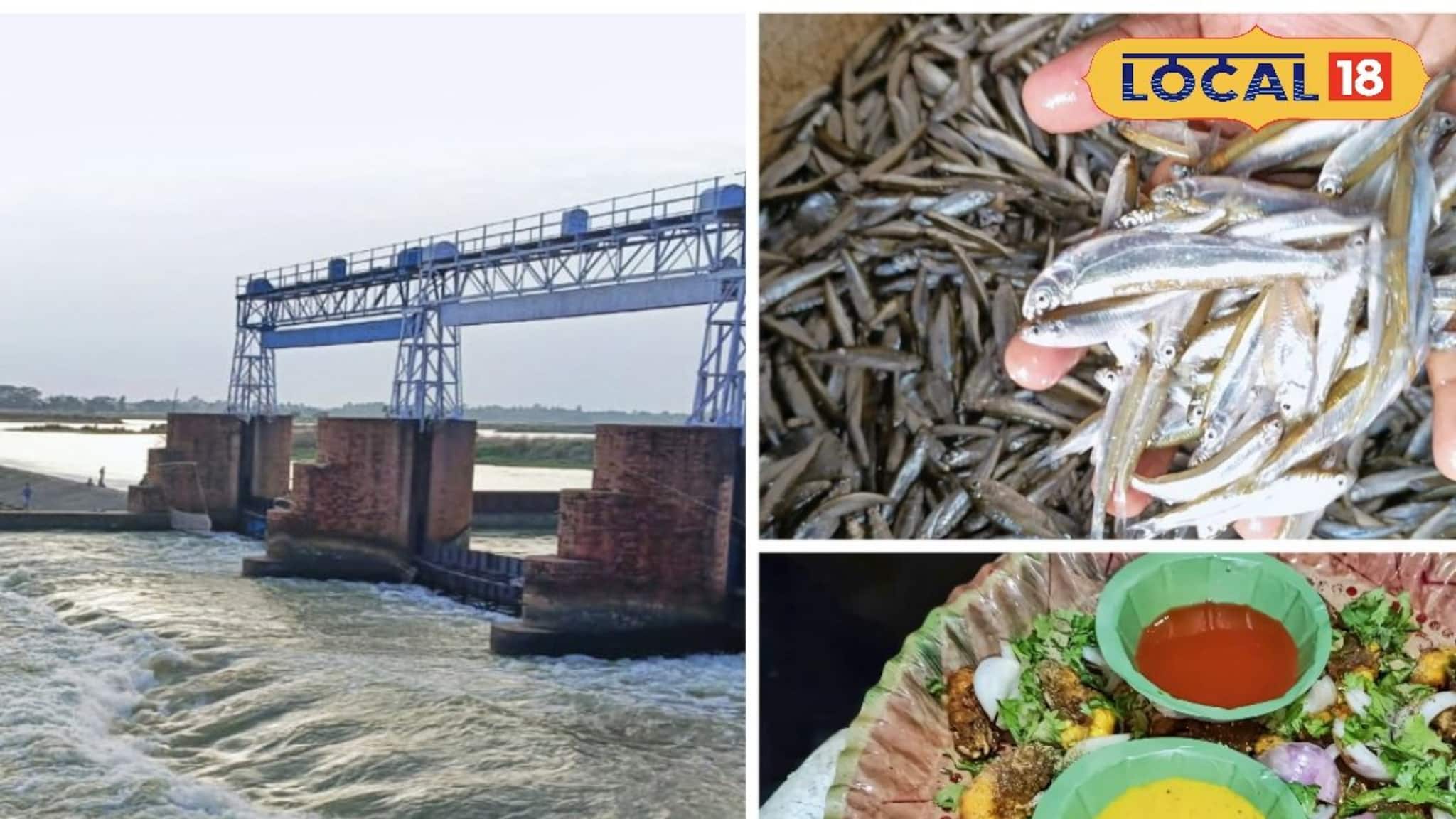 নদীর ধারে মনোরম পরিবেশে গরম গরম মচমচে মাছ ভাজা! দিঘা-পুরীর স্বাদ এবার দুর্গাপুরেও