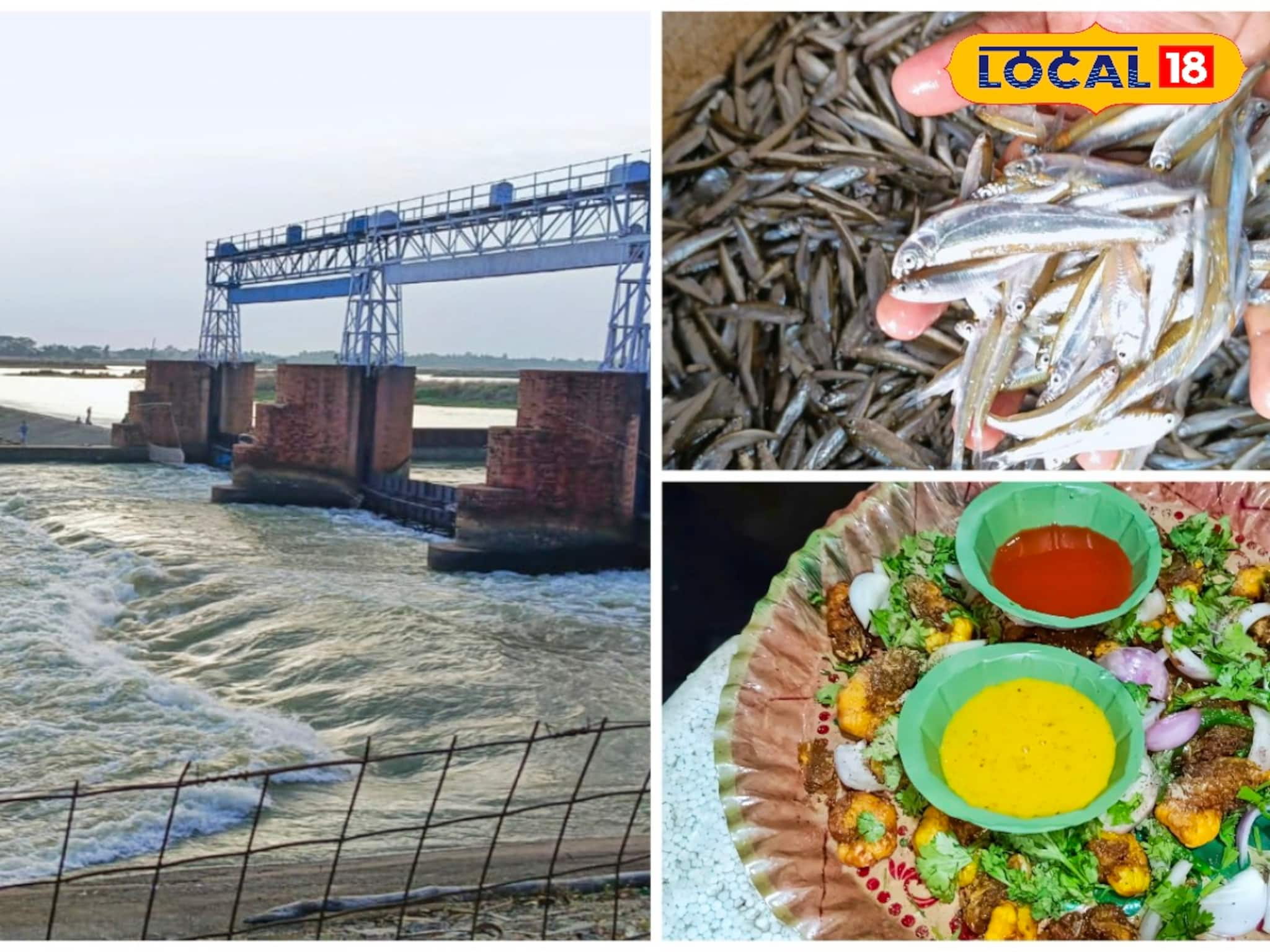 Fish Fry: নদীর ধারে মনোরম পরিবেশে গরম গরম মচমচে মাছ ভাজা! দিঘা-পুরীর স্বাদ এবার দুর্গাপুরেও, তফাৎ শুধু নদী আর সমুদ্র