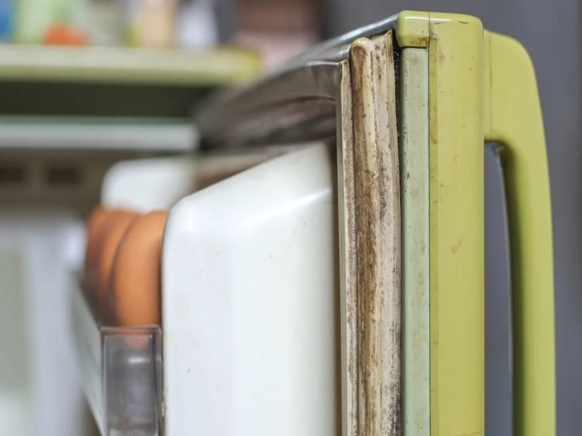 এবার এটি স্প্রে করুন এবং একটি কাপড় দিয়ে মুছে ফেলুন। এটি করলে সঙ্গে সঙ্গে পরিষ্কার হয়ে যাবে ফ্রিজ ডোর।