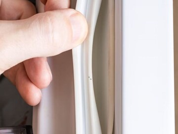 ফ্রিজের দরজার 'রাবারে' ময়লার পল্লা পড়ে কালো হয়ে গিয়েছে..! মোক্ষম 'টোটকায়' ১ মিনিটে চকচকে