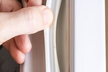 ফ্রিজের দরজার 'রাবারে' ময়লার পল্লা পড়ে কালো হয়ে গিয়েছে তো...! মোক্ষম 'টোটকায়' ১ মিনিটে ঝাঁ চকচকে, শিখে নিন সঠিক 'কায়দা'!