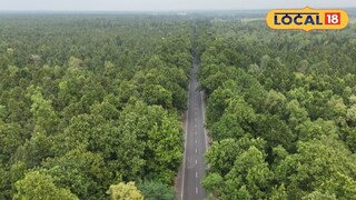 জঙ্গলে হাতি পারাপারের রাস্তা