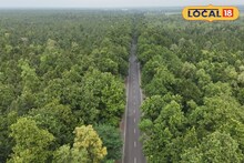 Elephant Corridor : হাতির দল পেরিয়ে যায় ৬০ নম্বর জাতীয় সড়ক, বনভূমি ঘেরা এই রাস্তা এখন প্রাকৃতিক সৌন্দর্যের নতুন গন্তব্য