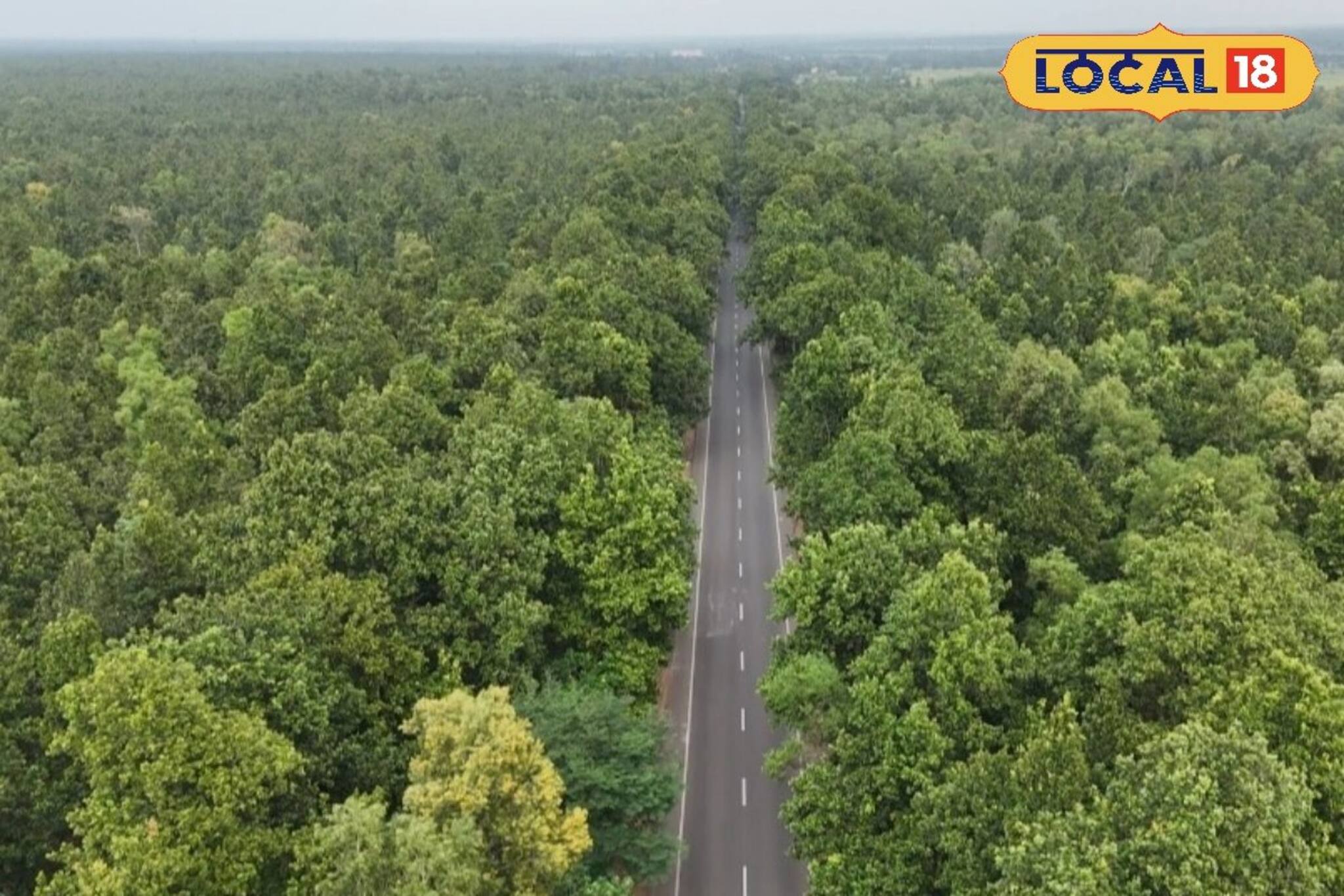 হাতির করিডর এখন পর্যটকদের আকর্ষণ, আমলাগোড়ায় ৬০ নম্বর জাতীয় সড়কে সতর্কতা জরুরি