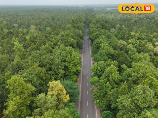 জঙ্গলে হাতি পারাপারের রাস্তা জঙ্গলে হাতি পারাপারের রাস্তা