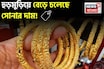 হুড়মুড়িয়ে বেড়ে চলেছে সোনার দাম ! ১ গ্রাম কিনতে কত বেশি খরচ হবে জেনে নিন