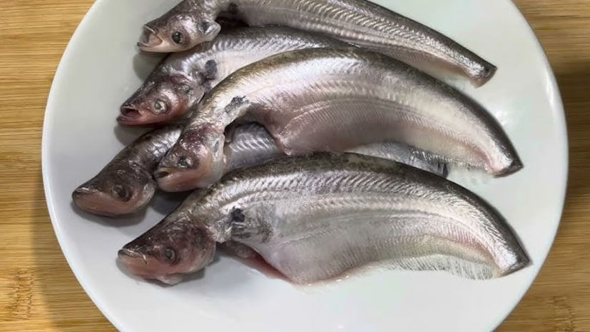 শর্তত্যাগ: শুধুমাত্র আপনাদের সচেতনতার উদ্দেশ্যেই এই প্রতিবেদনটি লেখা হয়েছে। আমরা এই লেখায় সাধারণ জ্ঞান ও দৈনন্দিন জীবনের কিছু সাধারণ তথ্য শেয়ার করেছি মাত্র। আপনি যদি কোথাও আপনার স্বাস্থ্য, জীবন ও বিজ্ঞানের যোগ সম্পর্কিত কিছু পড়েন তবে তা গ্রহণ করার আগে অবশ্যই একজন বিশেষজ্ঞের পরামর্শ নিন।