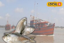 ১ কেজি সাইজের ইলিশের দাম ২০০০ টাকা! তবুও লাভের ঘর ফাঁকা, হতাশ মৎস্যজীবীরা