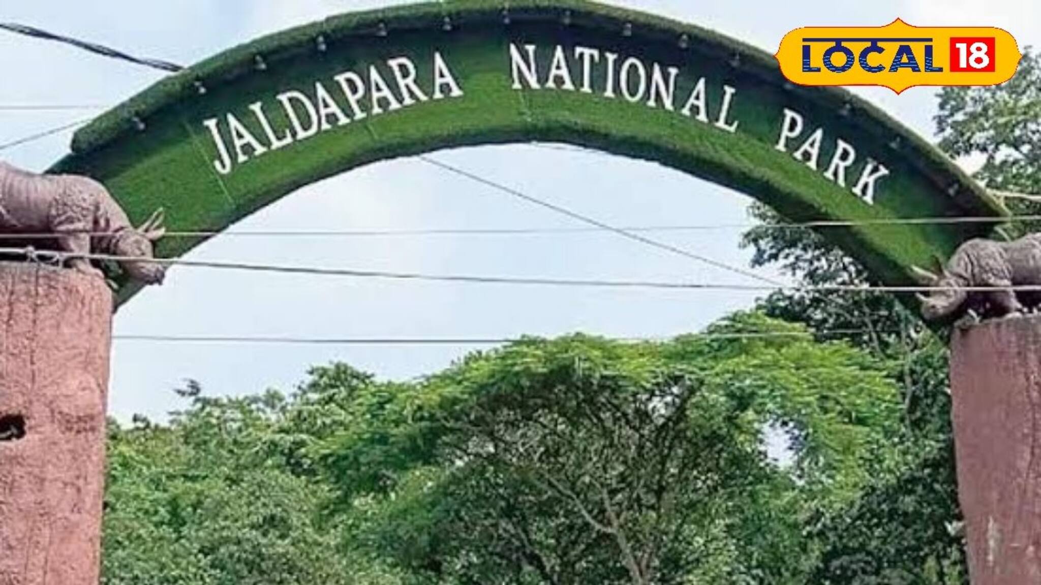 এক গলা মদ খেয়ে বেসামাল মহিলার বেঘোরে ঘুম হাতির করিডরে! শেষমেশ ছুটে এলেন বনকর্মীরা