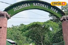 এক গলা মদ খেয়ে বেসামাল মহিলার বেঘোরে ঘুম হাতির করিডরে! শেষমেশ উদ্ধার করতে ছুটে আসতে হল বনকর্মীদের