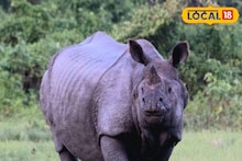 Rhino Attack : লাঠি উঁচিয়ে দেখাতেই তেড়ে এল গণ্ডার, কামড়ে নিয়ে চলে গেল দুটো আঙুল! ভাবলেই গায়ে কাঁটা দিচ্ছে বৃদ্ধার