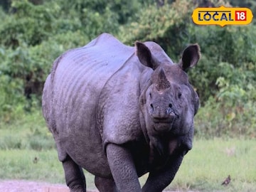 প্রতিকী ছবি প্রতিকী ছবি