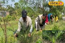 আর টান পড়বে না নলেন গুড়ের! জয়নগরের মোয়া বাঁচাতে শুরু নতুন উদ্যোগ