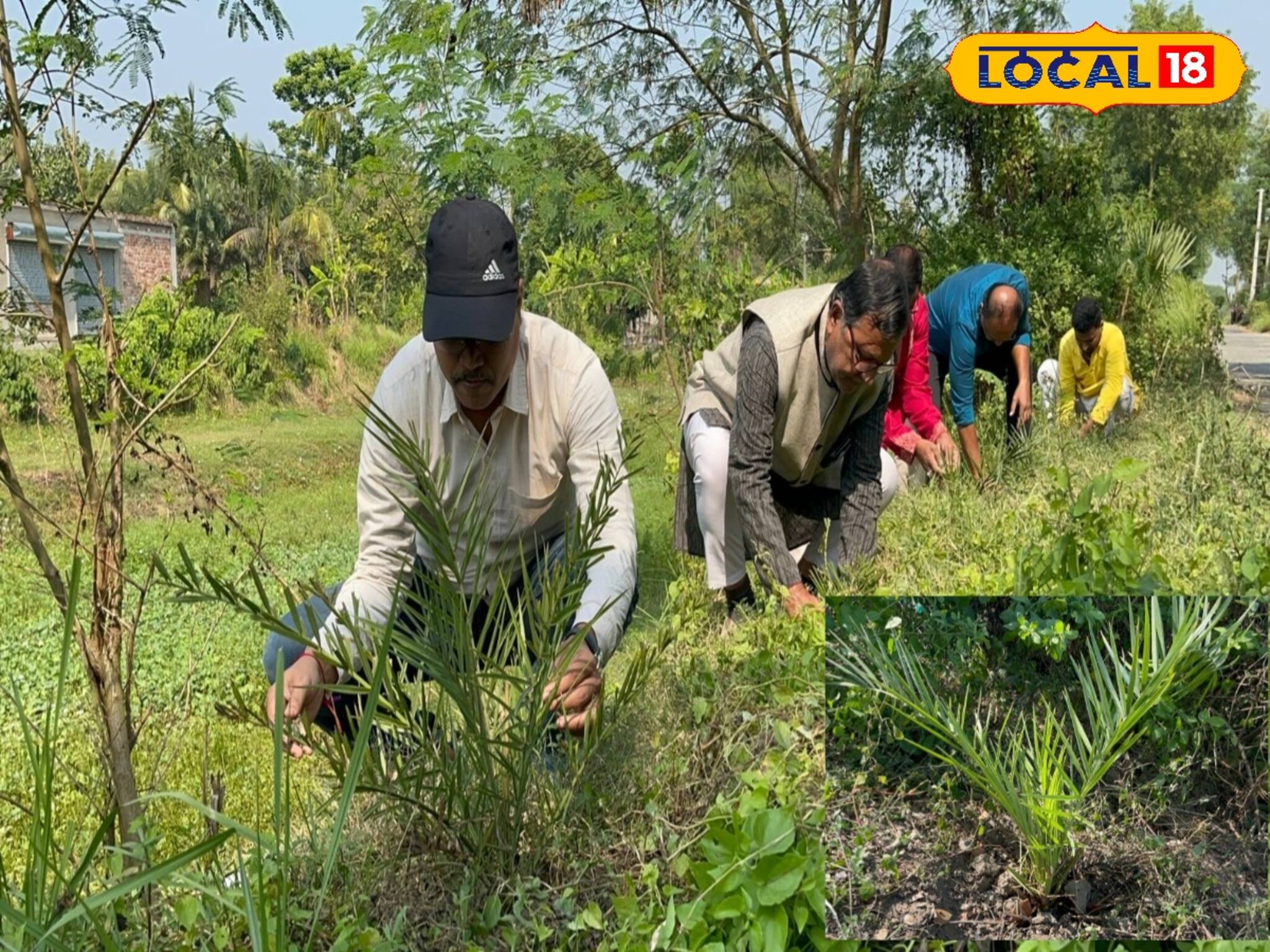 Jaynagar Moa : মোয়া প্রেমীদের জন্য খুশির খবর, আর টান পড়বে না নলেন গুড়ের! জয়নগরের ঐতিহ্য বাঁচাতে শুরু নতুন উদ্যোগ