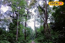 Alipurduar News: পদোন্নতির জন্য ছিল সবকিছু প্রস্তুত! এরই মাঝে অঘটন, গভীর জঙ্গল থেকে উদ্ধার পুলিশকর্মীর মৃতদেহ, দানা বাঁধছে রহস্য