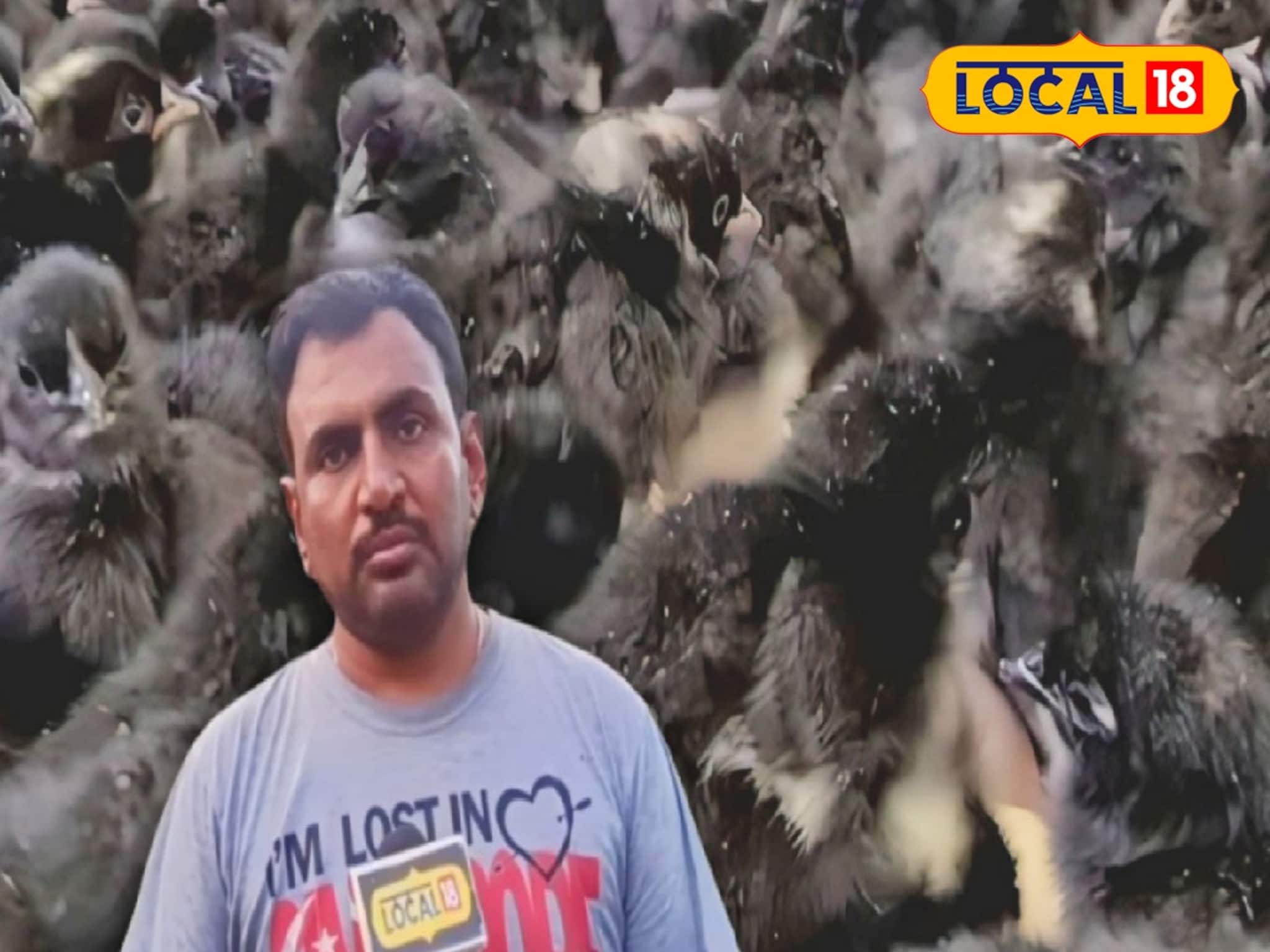 মাংস ৬০০ টাকা, ডিম ২০ টাকা! দুর্গাপুরের যুবক চাষ করছেন 'কালি মাসি' মুরগি, দুর্দান্ত ব্যবসা