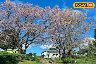 লাভা থেকে মাত্র ৬ কিমি দূরে নতুন 'পাহাড়ি স্বর্গ'! সঙ্গীর সঙ্গে রাত কাটানোর পারফেক্ট স্পট