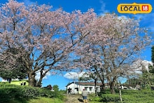 Offbeat Tourism: লাভা থেকে মাত্র ৬ কিমি দূরে নতুন 'পাহাড়ি স্বর্গ'! নিরিবিলি পরিবেশ, সঙ্গীর সঙ্গে রাত কাটানোর পারফেক্ট ডেস্টিনেশন