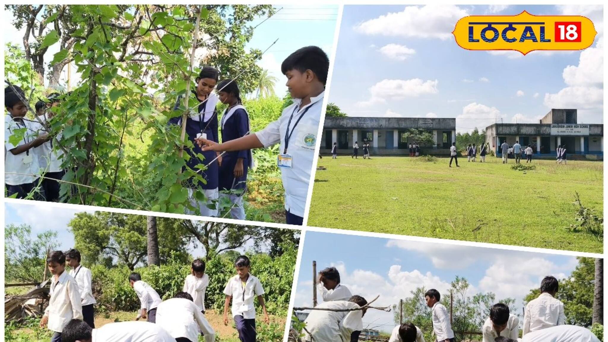 কৃষিতে ভবিষ্যতের স্বপ্ন, হাতেকলমে চাষাবাদে হাতেখড়ি! পুরুলিয়ার স্কুলে অন্য প্রয়াস