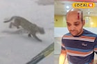 বাথরুমে ঢুকতেই লেপার্ডের ঝাঁপ, বিশ্ববিদ্যালয়ের সামনেও দাপাদাপি, সাতসকালে হাড়হিম কাণ্ড!