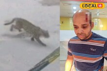 বাথরুমে ঢুকতেই লেপার্ডের ঝাঁপ, বিশ্ববিদ্যালয়ের সামনেও দাপাদাপি, সাতসকালে হাড়হিম কাণ্ড!