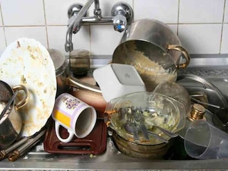 রান্না ঘরে সারা রাত এঁটো বাসন ফেলে রাখেন! তলে তলে কী সর্বনাশ হচ্ছে জানেন!