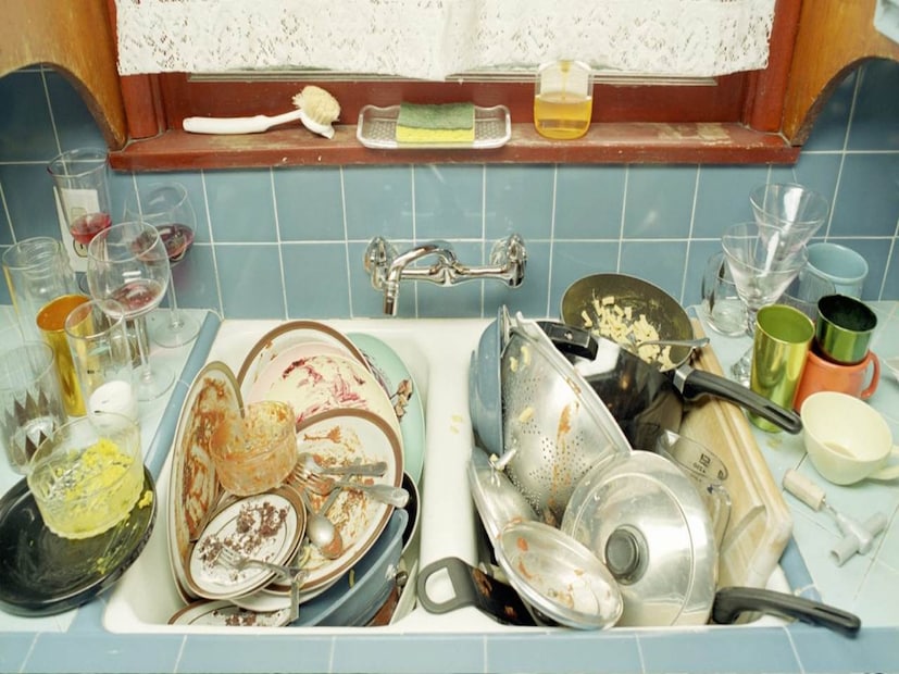 ‘দ্য জার্ম কোড’ ও ‘দ্য জার্ম ফাইল’ বই দুটির লেখক জেসন টেট্রো আরও জানিয়েছেন, সিঙ্কের জীবাণুগুলোর মধ্যে ই কোলাই, স্টেফাইলোকক্কাস অরিয়াস ইত্যাদি বেশি দেখা যায়। ধরুন, আপনি কোনও একটি পাত্রে কাঁচা মুরগি রেখেছিলেন। তারপর সেই পাত্র সিঙ্কে ধুয়ে ফেললেন। এ অবস্থায় সালমোনেলার মতো জীবাণুও আপনার সিঙ্কে থাকতে পারে।