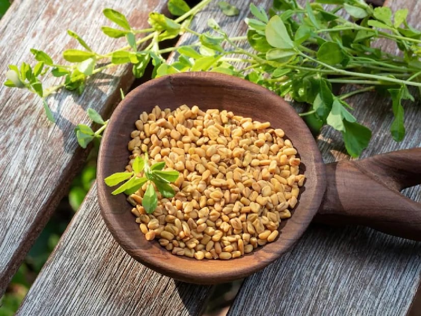 পুরনো সময় থেকেই মেথি শরীরের পক্ষে উপকারী বলে মনে করা হয়। এটি শুধু রান্নাঘরে নয়, প্রাচীন চিকিৎসা ব্যবস্থাতেও গুরুত্বপূর্ণ স্থান দখল করে রেখেছে। হজমশক্তি উন্নত করা, রক্তে শর্করার মাত্রা নিয়ন্ত্রণ করা, প্রদাহ কমানো ও শরীরের মেটাবলিজম ঠিক রাখার মতো একাধিক গুণ রয়েছে এতে। পুরনো সময় থেকেই মেথি শরীরের পক্ষে উপকারী বলে মনে করা হয়। এটি শুধু রান্নাঘরে নয়, প্রাচীন চিকিৎসা ব্যবস্থাতেও গুরুত্বপূর্ণ স্থান দখল করে রেখেছে। হজমশক্তি উন্নত করা, রক্তে শর্করার মাত্রা নিয়ন্ত্রণ করা, প্রদাহ কমানো ও শরীরের মেটাবলিজম ঠিক রাখার মতো একাধিক গুণ রয়েছে এতে।