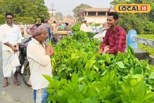 রেশম শিল্পে মন খারাপ করা ছবি! পরিকল্পনার অভাবে গবাদিপশুদের জন্য বিক্রি করতে হচ্ছে তুঁতপাতা