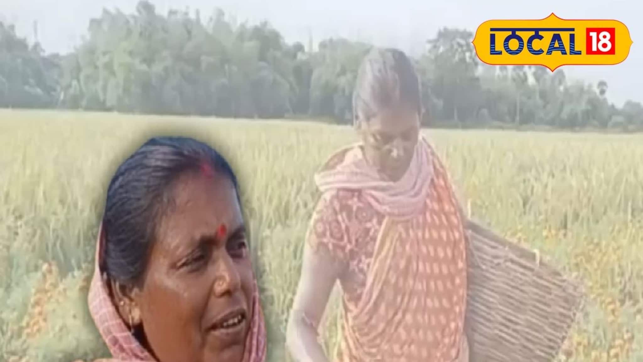 ৩ মাসেই লক্ষ টাকা! ধান, সবজি ছেড়ে পশ্চিম বর্ধমানের চাষিরা করছেন 'এই' চাষ