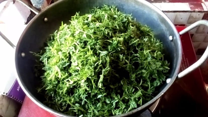 দুর্দান্ত সুস্বাদু এই শাক স্বাদে-গুণে সেরার সেরা! এই শক্তি যেমন আমাদের ঠান্ডা লাগা থেকে রক্ষা করে তেমনই আমাদের রোগ প্রতিরোধ ক্ষমতাও শক্তিশালী করে ম্যাজিকের মতো।