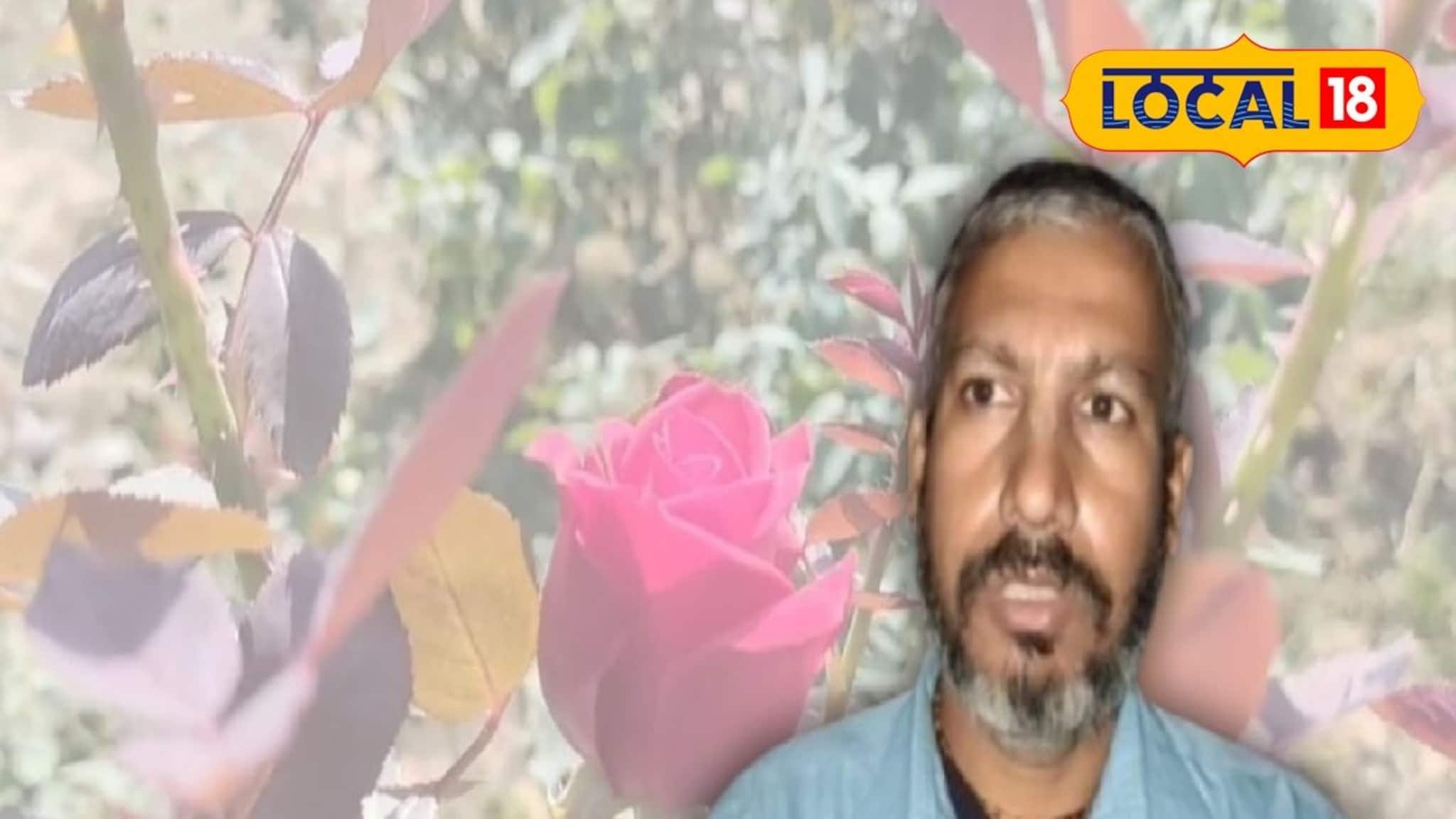 সঠিক চাষে লাল মাটিতেও হবে মোটা টাকা আয়! দৃষ্টান্ত স্থাপন মেদিনীপুরের যুবকের,ফলাচ্ছেন গোলাপ