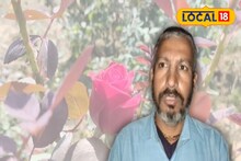 Money Making Tips: সঠিক চাষে লাল মাটিতেও হবে মোটা টাকা আয়! দৃষ্টান্ত স্থাপন মেদিনীপুরের যুবকের, ফলাচ্ছেন গাদা গাদা গোলাপ