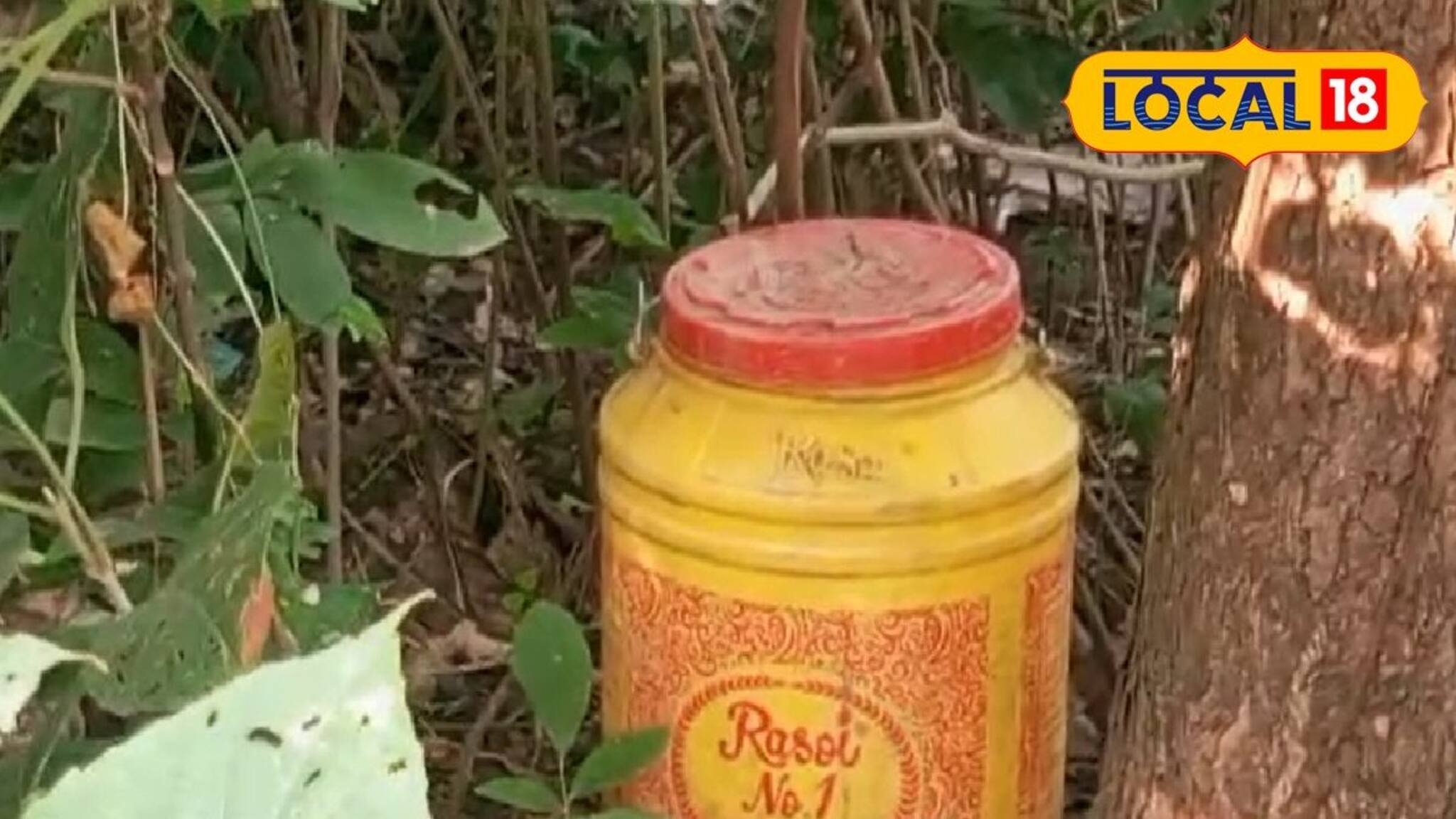 এক সপ্তাহের ব্যবধানে ফের জারভর্তি বোমা উদ্ধার! আতঙ্ক বাড়ছে রঘুনাথগঞ্জে