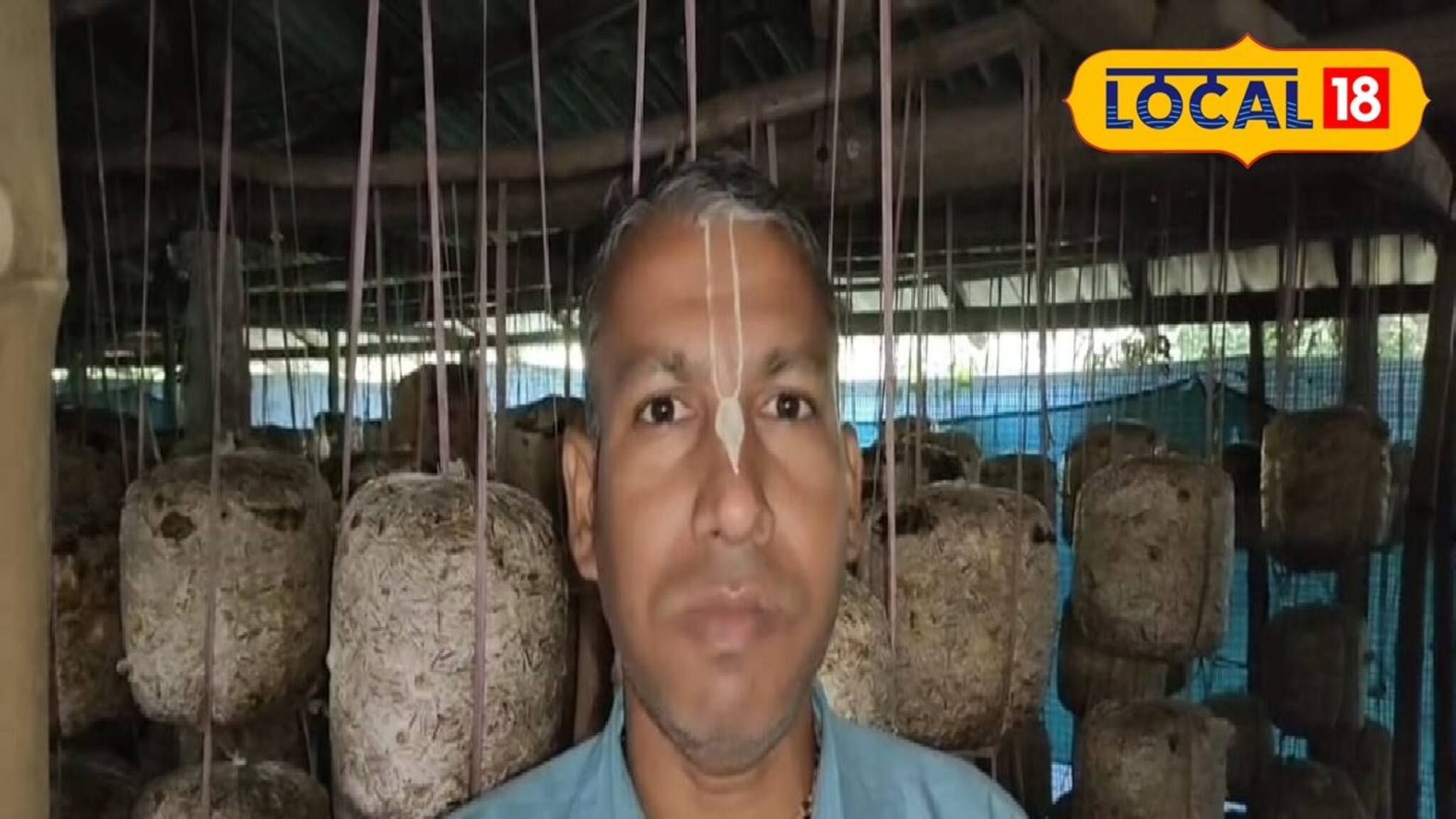 ৪ হাজার টাকা ভাগ্য বদলাল চন্দ্রকোনার ব্যবসায়ীর! মাশরুমের বিজনেস আইডিয়াতে এখন আয় অঢেল