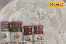 মাশরুমের আচার-কাসুন্দি আরও অনেককিছু!সুস্বাদু পণ্য বানানোর নতুন বিজনেস আইডিয়া মহিলাদের জন্য