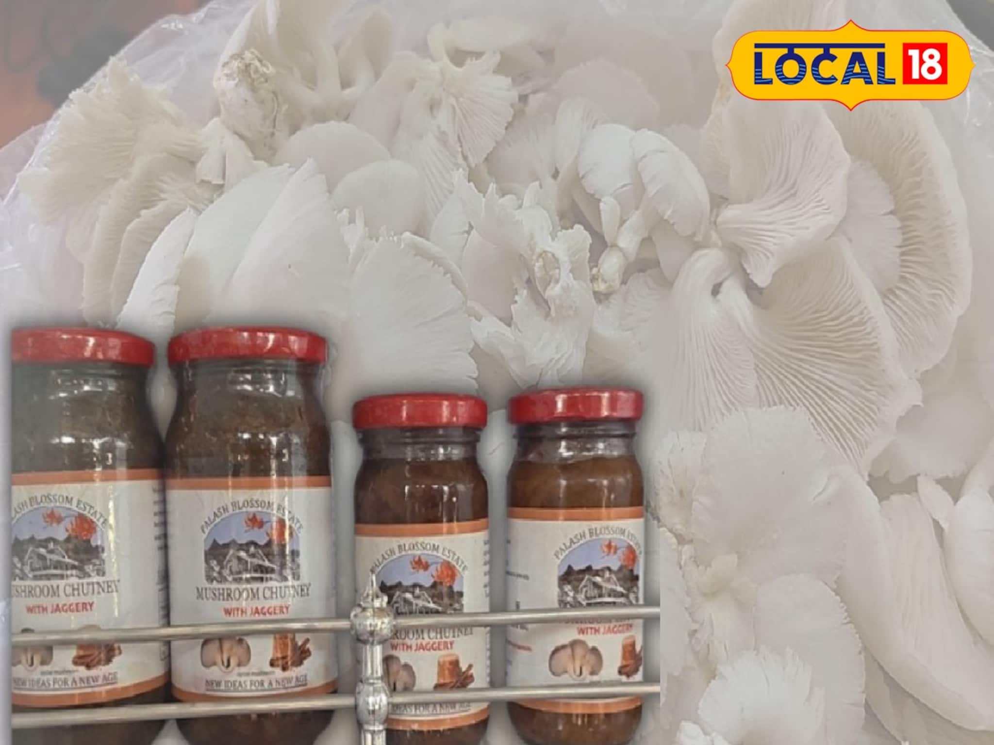 মাশরুমের আচার-কাসুন্দি আরও অনেককিছু!সুস্বাদু পণ্য বানানোর নতুন বিজনেস আইডিয়া মহিলাদের জন্য