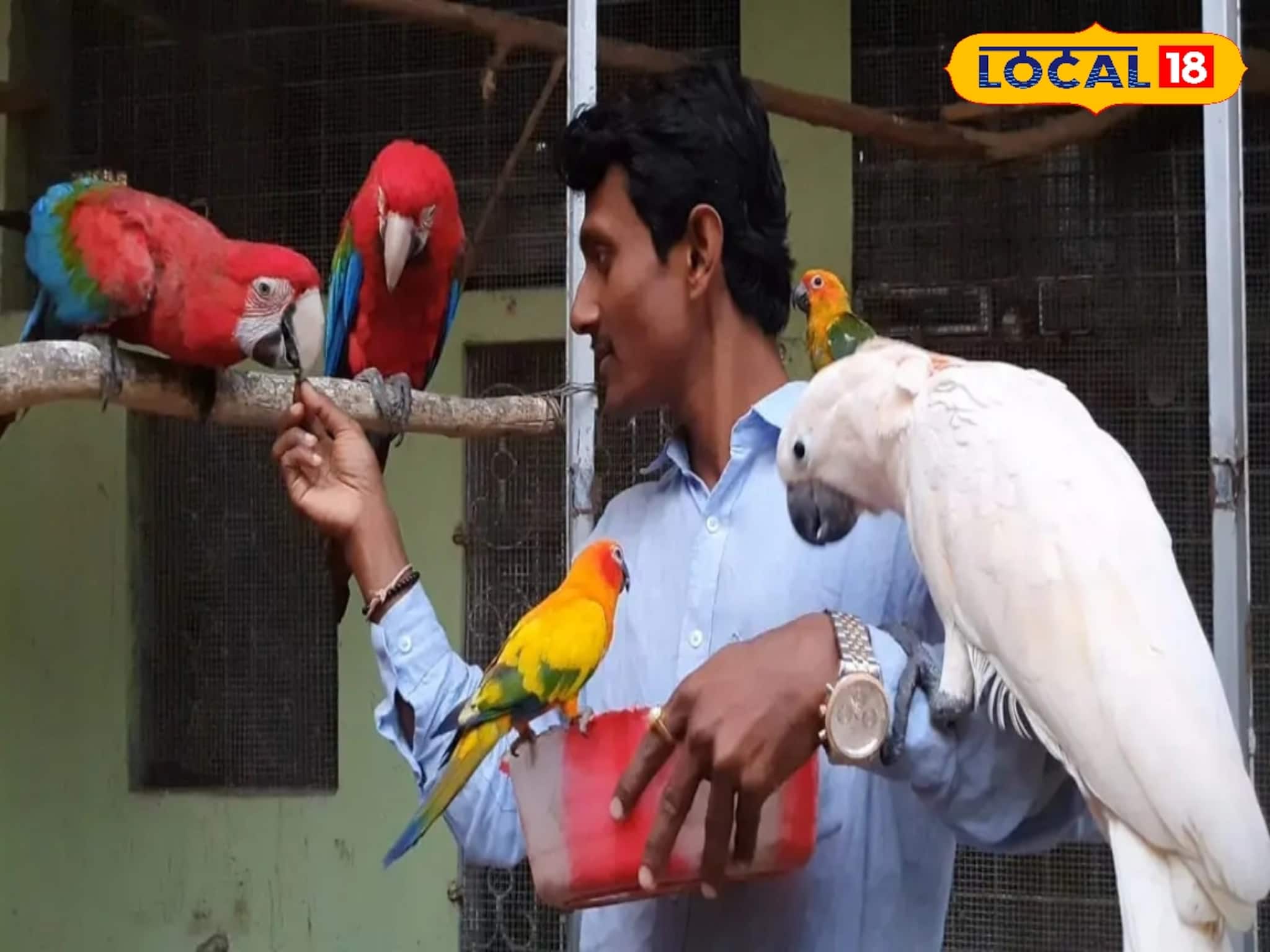 Bird's Lover : ফলোয়ার রয়েছে পাকিস্তান, বাংলাদেশে! নামখানায় নিজেই গড়ছেন পাখির বিশাল সাম্রাজ্য, দেখলে মন ভরে যাবে