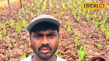 পেঁয়াজ