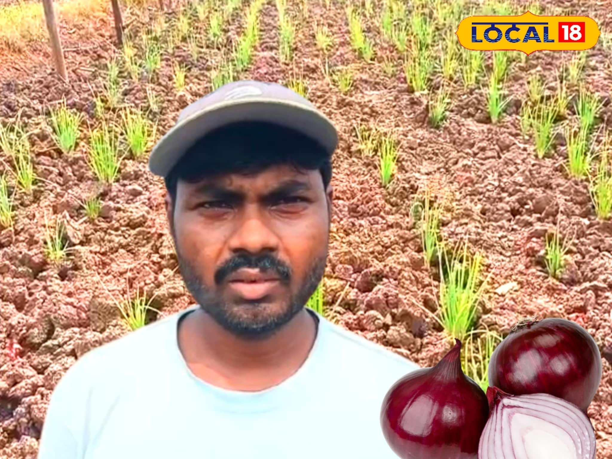 ১ বিঘায় লাভ ৬০ হাজার! রান্নাঘরের মহামূল্যবান পেঁয়াজ চাষেই মোটা টাকার মুখ দেখছেন কৃষক