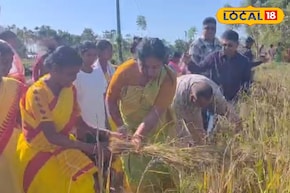 আলিপুরদুয়ার জেলা পরিষদের সভাধিপতি ধান কাটলেন জমিতে! প্রশংসায় পঞ্চমুখ স্থানীয়রা
