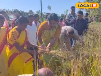আলিপুরদুয়ার জেলা পরিষদের সভাধিপতি ধান কাটলেন জমিতে! প্রশংসায় পঞ্চমুখ স্থানীয়রা